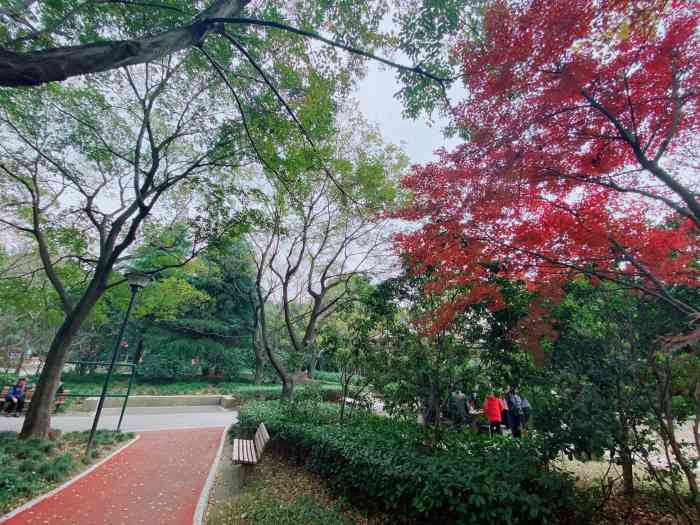 泗塘篮球公园-"在这地区这个公园很旺的,有打篮球的缘故吧.