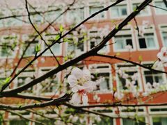 -崇仁路小学