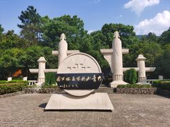 -大奇山国家森林公园