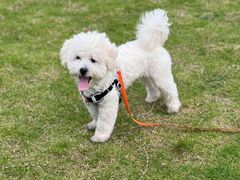 -瑞派康怡24h宠物医院·犬猫医疗中心·微创绝育(瑞景分院)