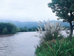 -西昌邛海湿地