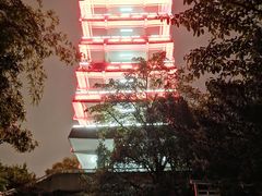 -鹅岭公园瞰胜楼