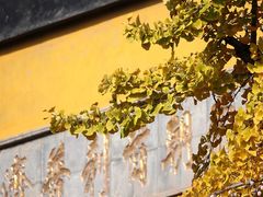 -鸡鸣寺