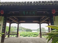 -江心屿景区