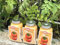 -野萃山·潮汕厚果汁(十亩地店)