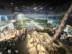 -自贡恐龙博物馆