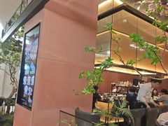 -大神太神·铁板烧(七宝领展广场店)