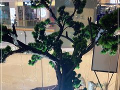 -九田家黑牛烤肉料理(溧阳吾悦店)