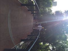 南馆公园-南馆公园