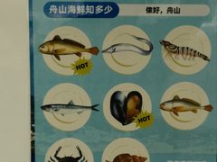 -枸杞岛