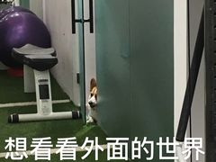 -汗水空间私教健身连锁(SM广场店)