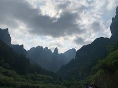 -建军奶油排骨