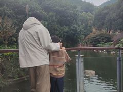 -逸廊大堂吧-下午茶·简餐-千岛湖自由洲际殿