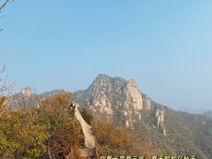 -大岭沟猕猴桃谷风景区