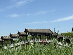 -西海子公园