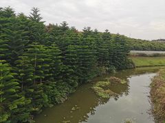 -迪茵湖田家舍生态农场