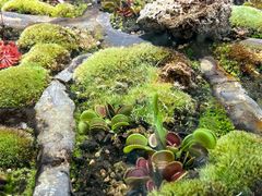 -国家植物园南园