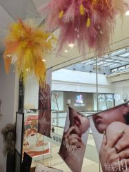 -鲸彩·美甲美睫科技护肤