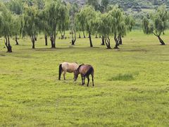 -泸沽湖国家级风景名胜区走婚桥