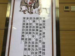 -北京中医药大学第三附属医院