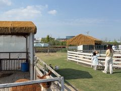 -栖露营camping·天幕烧烤·团建拓展·采摘营地