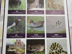 -滴水岩森林公园