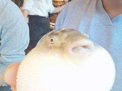 -永安鱼庄·镇江菜(丁卯店)