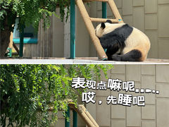 -天津市动物园