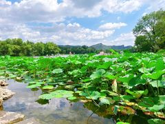 -承德避暑山庄景区