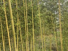 -嘉北郊野公园