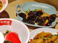 -牛吃草牛杂面(天一店)