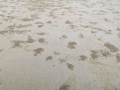 -南澳海滩