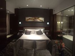 -常州环球恐龙城维景国际大酒店