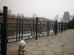 -西安汉城湖景区