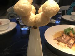 -MR鹅外