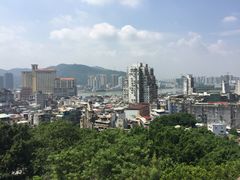 -添發碗仔翅美食