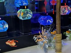 -海合安青岛极地海洋公园