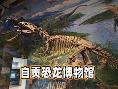 -自贡恐龙博物馆