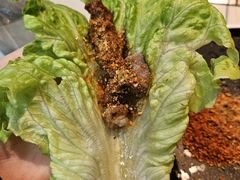 -丰茂烤串(五道口店)