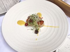 -蝶舍·MAISON PAPILLON