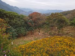 -广州市石门国家森林公园