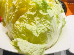 大白菜-海底捞火锅(天一广场亚细亚店)