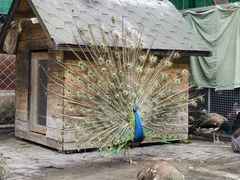 -静之湖度假区