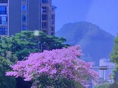 -宝能·all city(南山店)