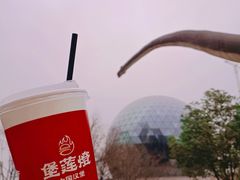 -陕西自然博物馆