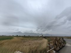 -敕勒川草原