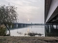 -绿堤公园