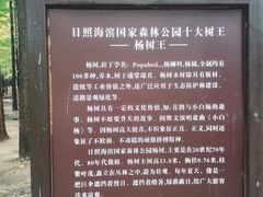 -日照海滨国家森林公园