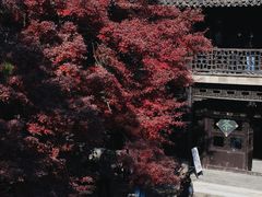 -何园