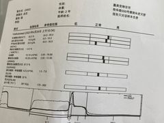 -嘉美宠物医院